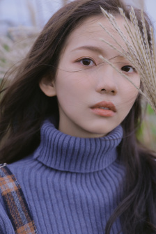 粉衣电梯